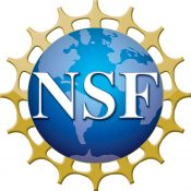 Awarsd NSF Logo.